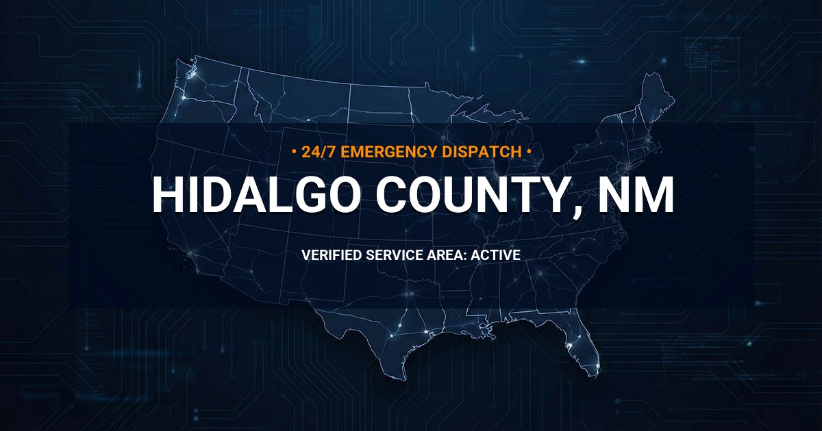 Emergency Plumbing Dispatch Map for Hidalgo County Plumbing Logistics