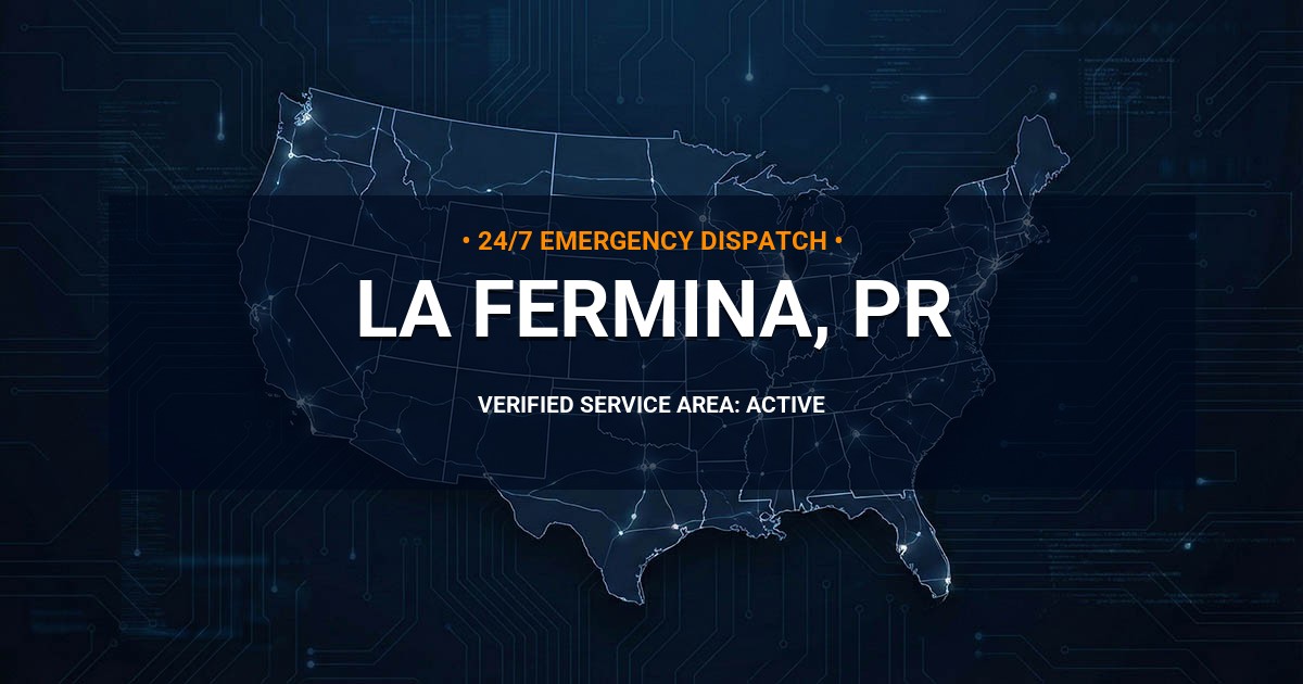 Emergency Plumbing Dispatch Map for Plumbing Services: La Fermina, PR