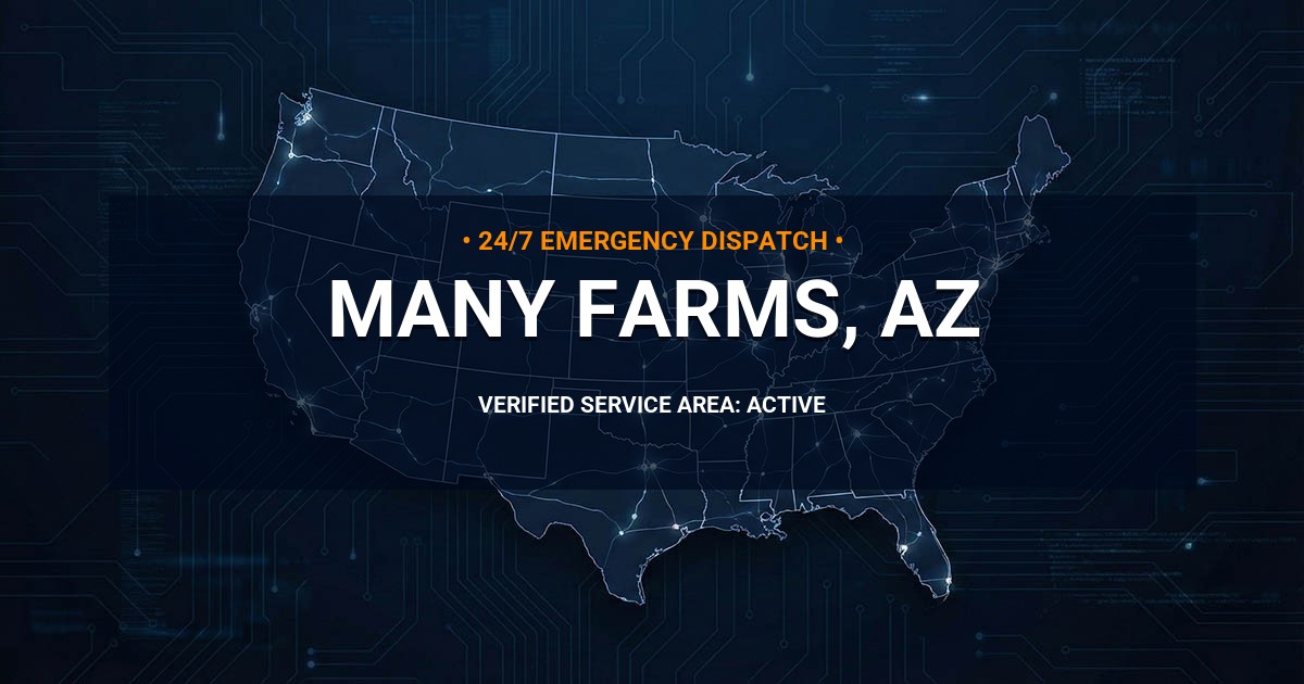 Emergency Plumbing Dispatch Map for Plumbing Services: Many Farms, AZ