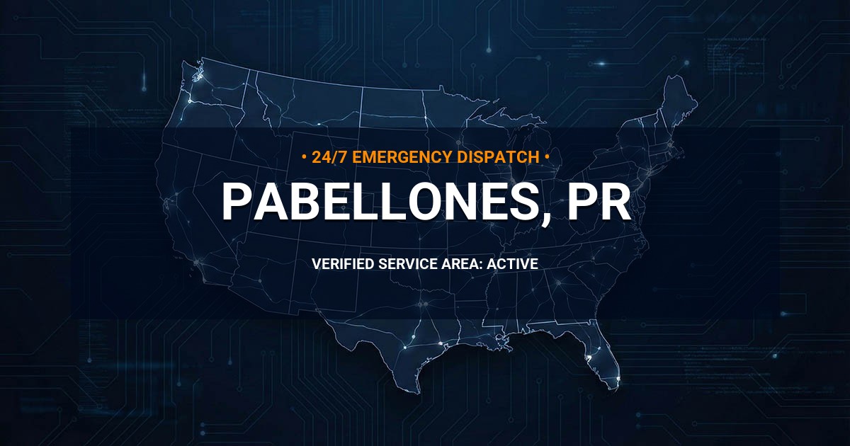 Emergency Plumbing Dispatch Map for Plumbing Services: Pabellones, PR