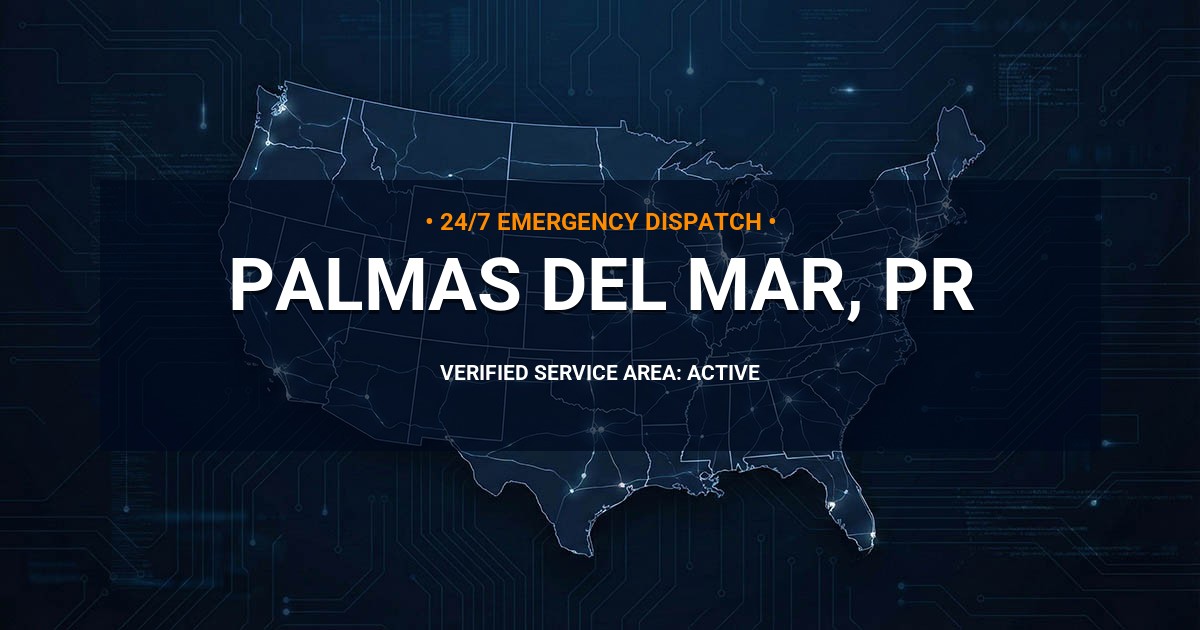 Emergency Plumbing Dispatch Map for Plumbing Services: Palmas del Mar, PR