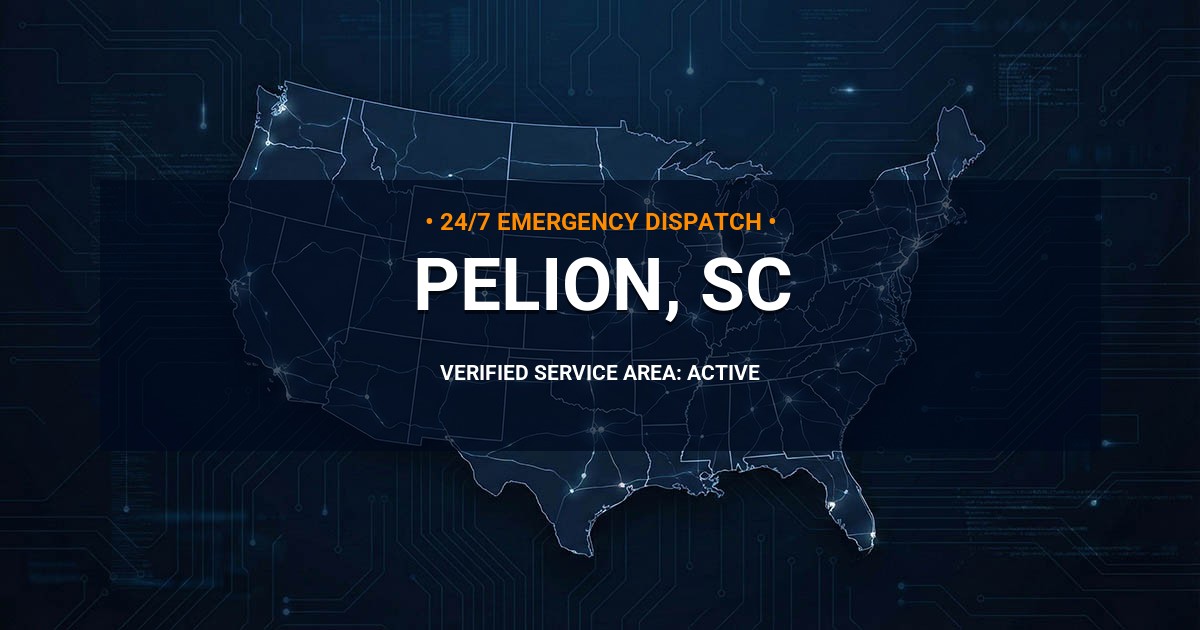 Emergency Plumbing Dispatch Map for Plumbing Services: Pelion, SC