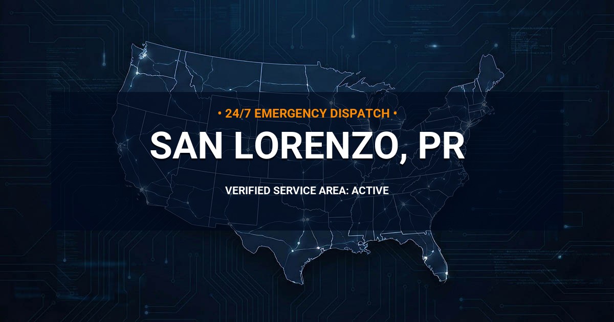 Emergency Plumbing Dispatch Map for Plumbing Services: San Lorenzo, PR